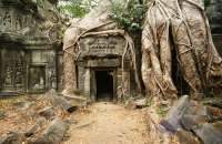 Ta Prohm ruins in Cambodia