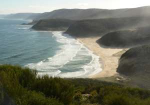 Royal National Park, New South Wales, Australia