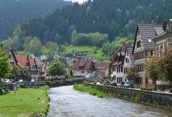 The Black Forest