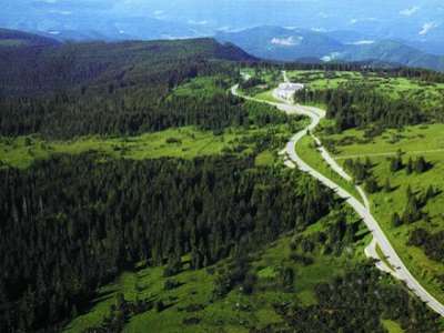 The Fairy Tale Road Trip: The Black Forest, Germany