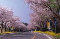  Ilju Road, South Korea