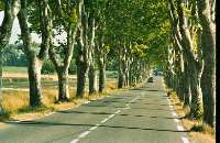 Pas de Calais