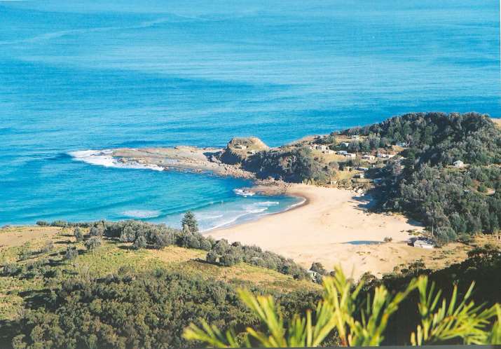 Royal National Park Nature
