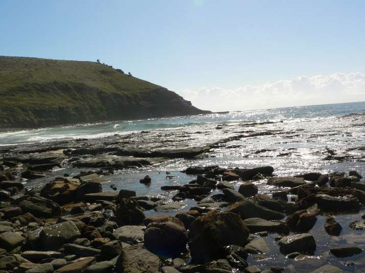 Royal National Park