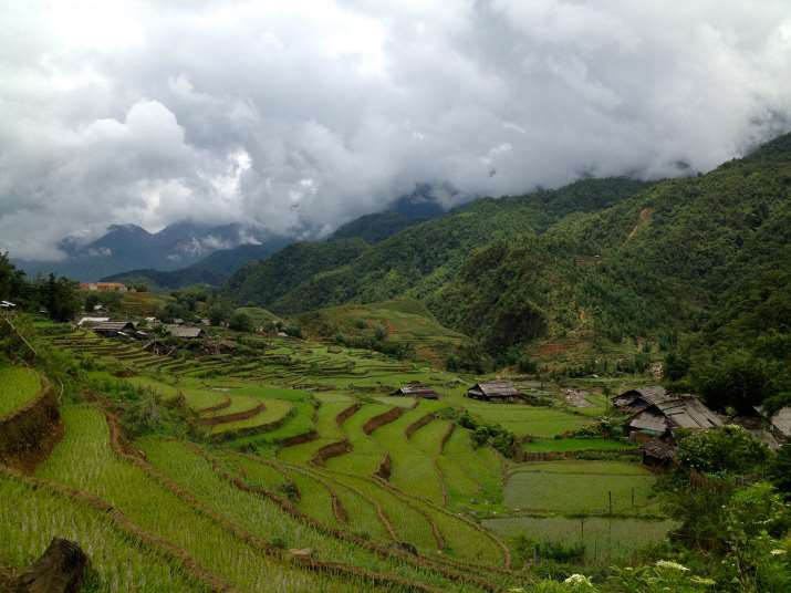 The Sa Pa Terraces