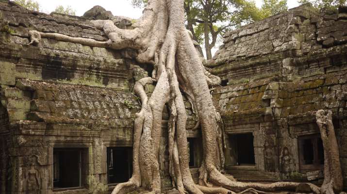 Ta Prohm Temple
