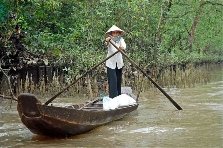 The Mekong Delta