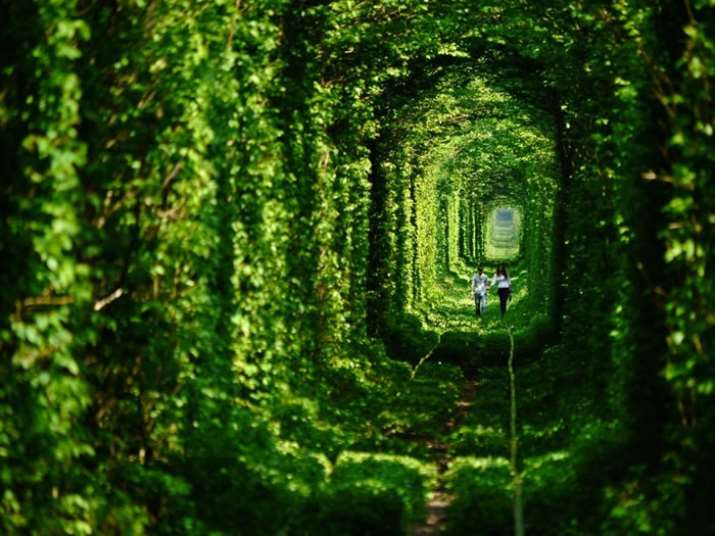 Tunnel of Love