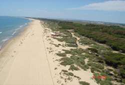 Central Playa Isla Cristina in Huelva